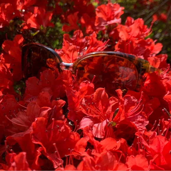 Ralph Lauren Sunglasses Abstract Tortoiseshell / Leopard Pattern - Picture 3 of 14